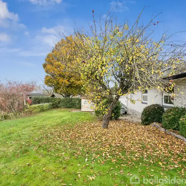 Et stort træ med delvis faldne blade står i en velholdt have. Omkring træet er der græs og en hvid murstensbygning med buske langs siden under en blå himmel med få skyer.