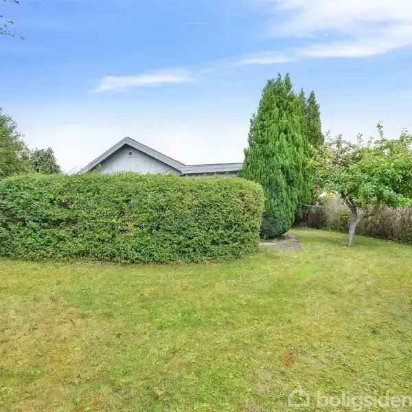 En have med en grøn hæk og træer står omgivet af græsplæne. En bygning med tag ses delvist bag hækken under en klar blå himmel.