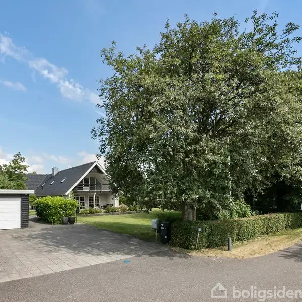 Et stort træ står i midten af en have ved siden af en villa. Foran ses en asfalteret indkørsel med en garage. Himlen er blå med få skyer.