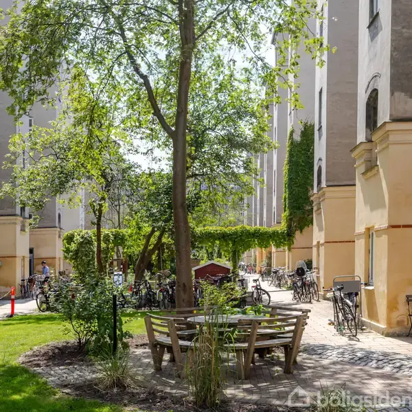 Rundt bord med bænke under træ i gård. Cykler står parkeret langs bygninger. Sollys skinner på facade og græs, hvilket skaber en afslappet atmosfære.