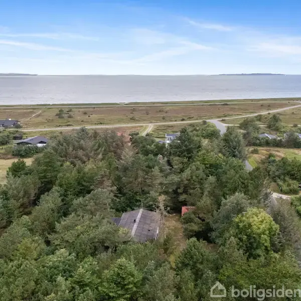 Et sommerhus er omgivet af tæt skov. I baggrunden ses en åben kyststrækning med vand, der strækker sig horisontalt, samt spredte huse og snoede veje i landskabet.