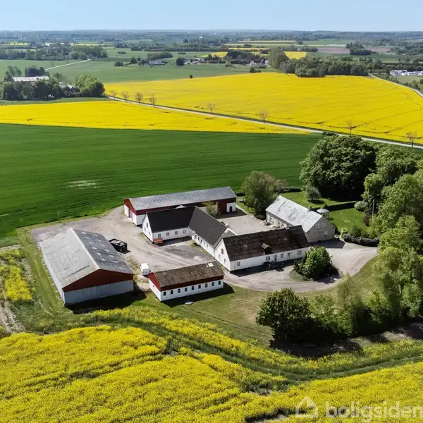 En gård med flere bygninger ligger centralt i billedet, omgivet af grønne marker og gule rapsmarker. Landskabet strækker sig ud mod horisonten under en klar himmel.