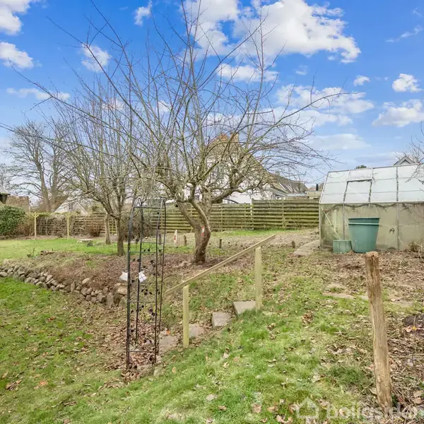 Træ står midt i en have, dækket af græs og omgivet af buske og hække. Til højre ses et drivhus, mens en flisebelagt sti løber gennem området under en blå himmel.