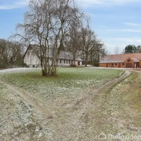 En gårdsplads med en stor, bladløs træ midt på en jordvej. Omgivet af røde og hvide bygninger i et landligt område med spredte træer og græs med rimfrost.