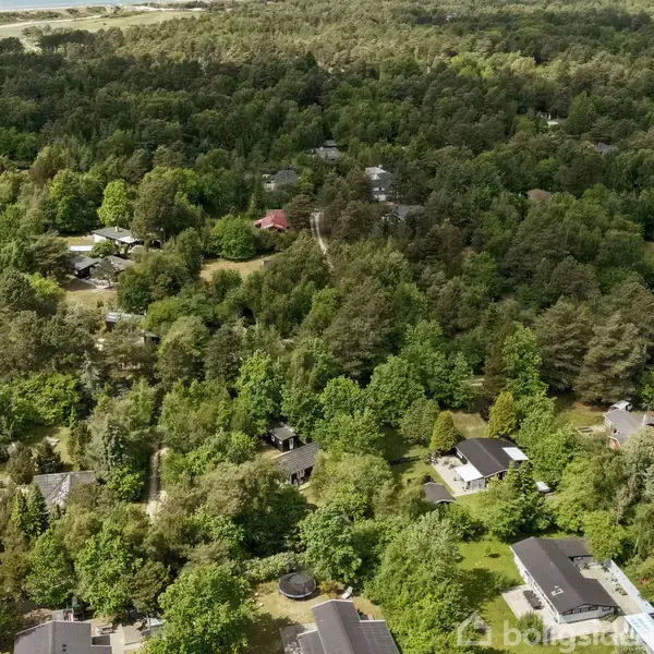 Bebyggelser er spredt mellem tætte skovområder i et frodigt, bakket landskab. Flere huse med mørke tage ses blandt træerne. Overblik over grønne skove og små veje.