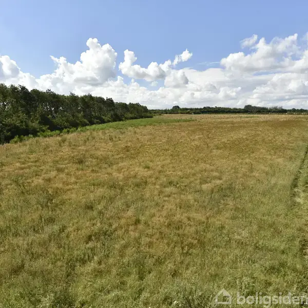 En stor, åben mark med tørt græs ved siden af en lang, smal vej. Vegetation og træer grænser op til marken under en skyet himmel med solskin.