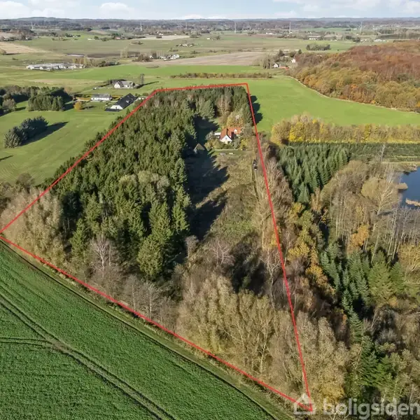 Et skovområde omgivet af åbne marker med et hus centralt placeret. Området er markeret med en rød linje, og en lille sø ligger til højre for skoven.