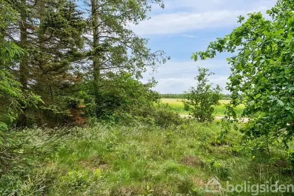 Fritidsgrund på Hedevej 25, 7441 Bording