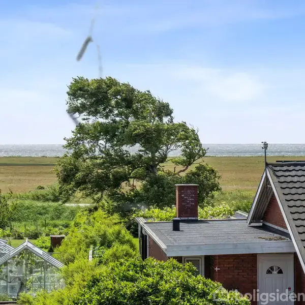 Et hus med gråt tag omgivet af grønne træer og buske. I baggrunden ses en mark med en stor ensom træ, og derudover vand i horisonten under en blå himmel.