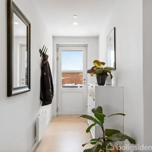 En entré med en skoreol, hvor en plante står ovenpå, en jakke hænger på knager, og en dør fører ud til en gårdsplads. Mørkt spejl på venstre væg.