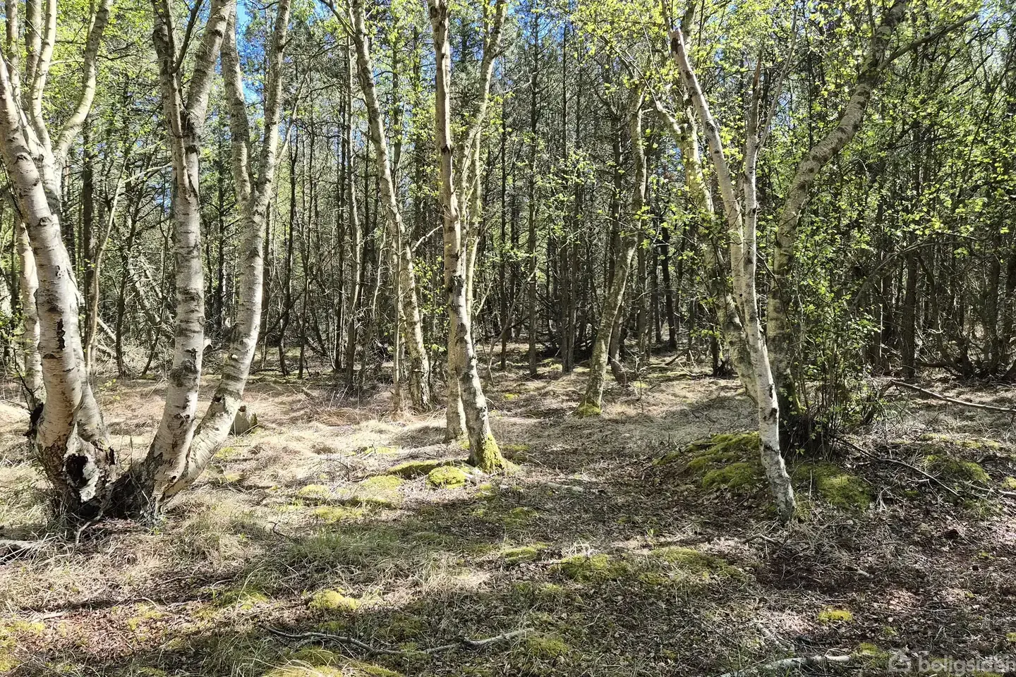 Helårsgrund på Neksøvej 5, 9940 Læsø