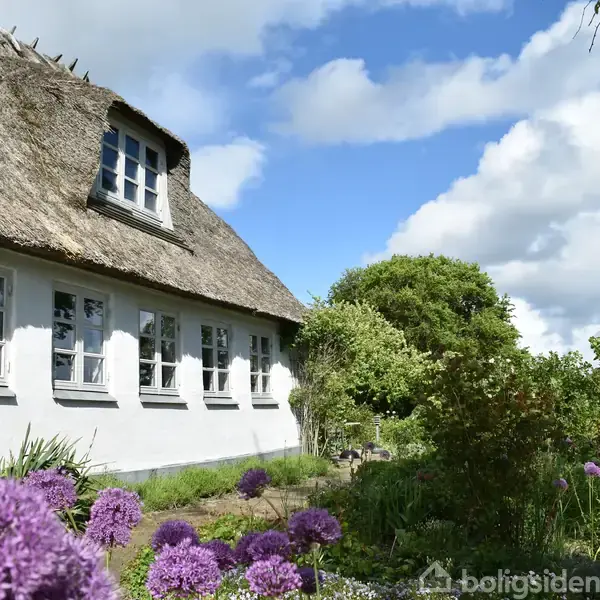 Et hvidt hus med stråtag står i en blomstrende have med lilla blomster. Skyer svæver på en blå himmel i baggrunden.