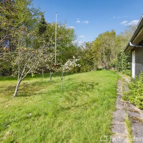 Et græsareal med flere små træer vokser ved siden af et hus med mørk facade. Omgivet af skovvegetation under en klar blå himmel.