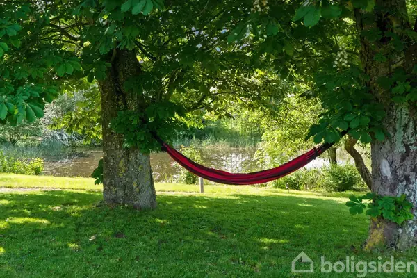 En rød hængekøje er spændt op mellem to store træer. Den hænger stille i en solrig have nær en sø. Græsset er frodigt og grønt.