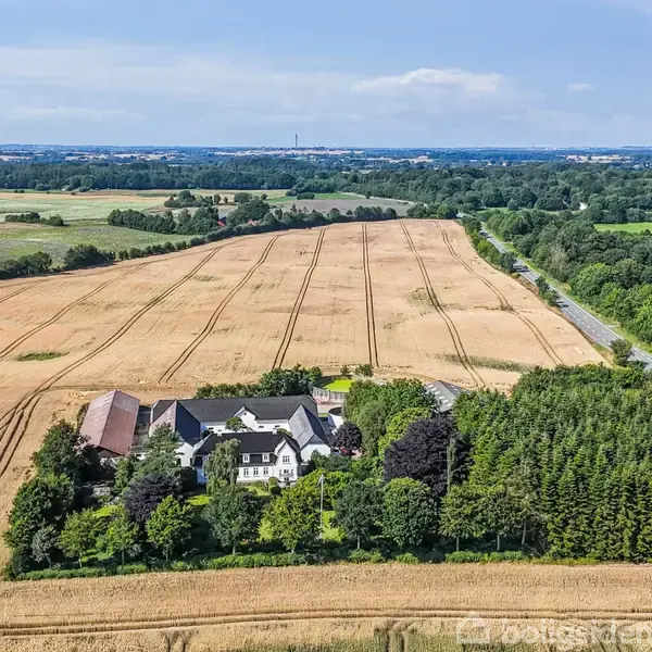 Et stort, hvidt hus ligger omgivet af grønne træer på en gård, der er placeret midt i gyldne kornmarker under en blå himmel. En vej løber forbi markerne i baggrunden.