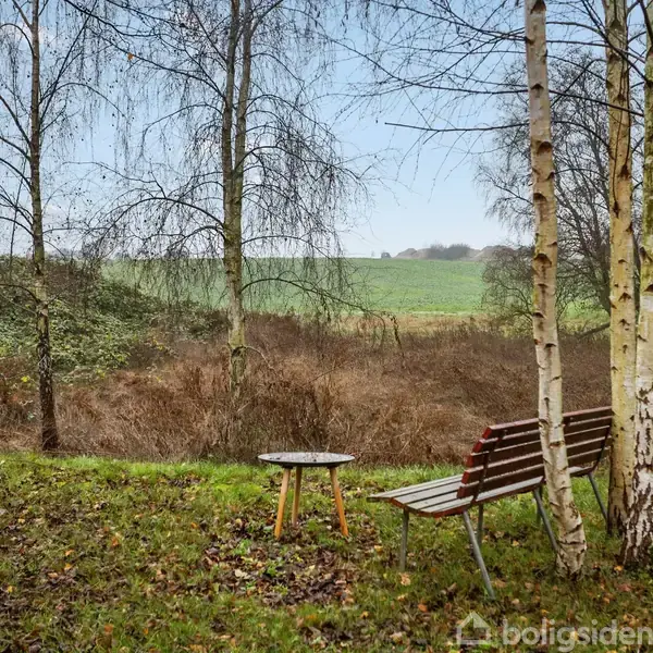 Bænk og bord står stille på en græsplæne ved siden af birketræer med udsigt til et åbent, grønt landskab omgivet af buske og træer under en blå himmel.