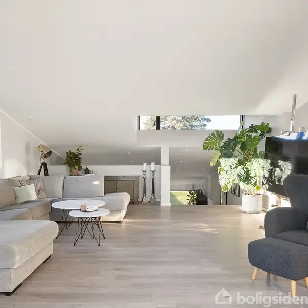 En moderne stue med grå sofa og lænestol, placeret på lyse trægulve. Sollys kommer ind gennem store vinduer, og en stor grøn plante står i nærheden. En fladskærm hænger på væggen.