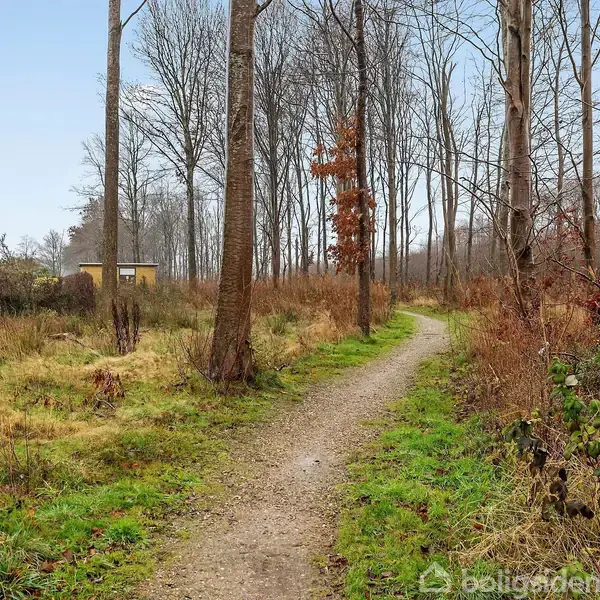 Sti der snor sig gennem en skov med høje, bladløse træer om efteråret. En gul bygning kan ses i det fjerne til venstre, omgivet af græs og krat.