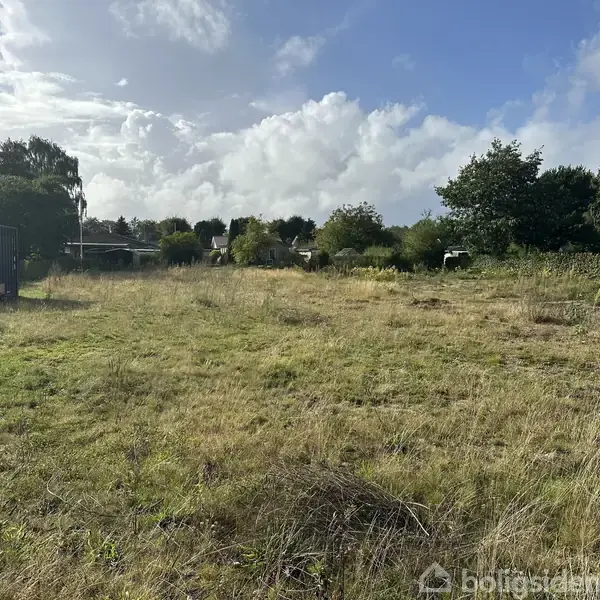 Græsområde ligger ubenyttet, omgivet af træer og buske; noget, der ligner en container, står til venstre. Skyer fylder en del af himlen i baggrunden.
