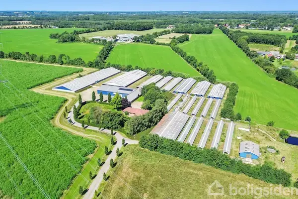 Planteavlsgård/-jord på Gammelbyvej 8, 6600 Vejen