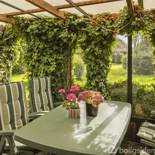 Et grønt havebord med blomsterpotter står omgivet af polstrede stole. Rummet er overdækket og omkredset af grønne klatreplanter. Udenfor kan en plæne ses igennem glasvæggene.