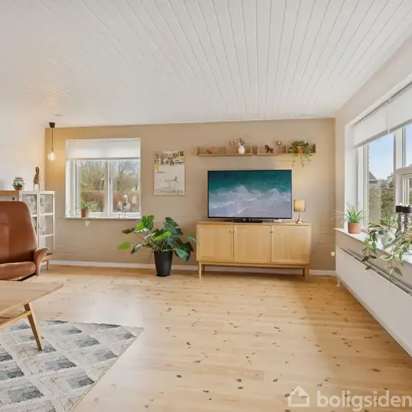 TV'et står på et træskab og viser et naturbillede; omgivet af planter og dekorationer på væg og hylde i en lys stue med store vinduer og trægulv.