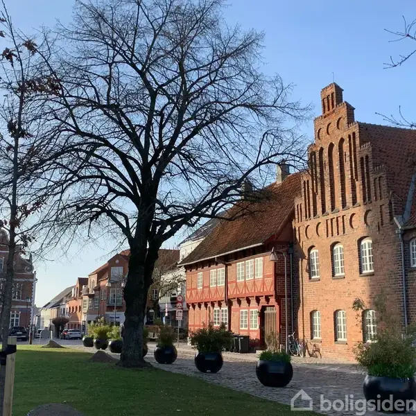 En stor, bar træ står centralt i en gammel by med brostensgader. Omgivet af historiske murstensbygninger under en klar blå himmel. Indskriften "Boligsiden" er nederst på billedet.
