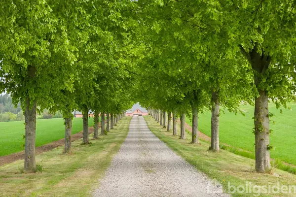 Landejendom på Hylkevej 15, 8660 Skanderborg