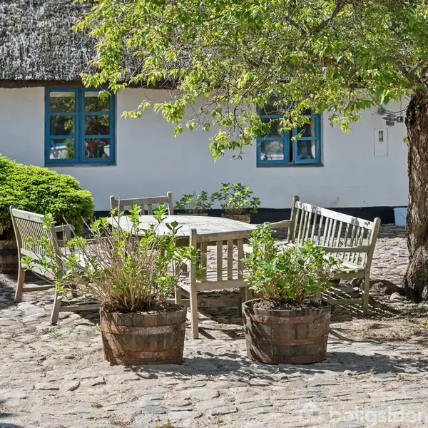Et træbord omgivet af bænke står på en brostensbelagt gårdsplads. Grønne planter i trætønder pynter under et skyggefuldt træ foran et hvidkalket hus med blå vinduer og stråtag.