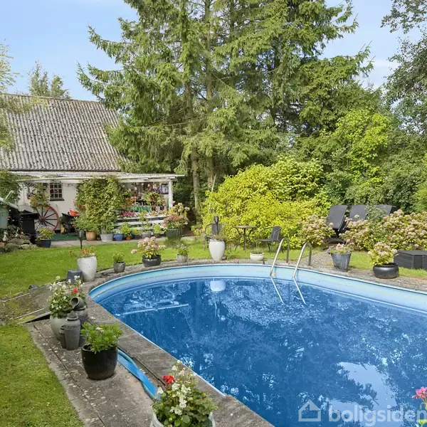 En oval swimmingpool med blå vand står i en frodig have med rigeligt grønt. En terrasse med planter og en hvid bygning ses i baggrunden, omgivet af store træer.