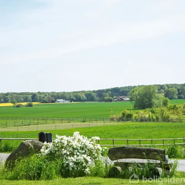 Blomsterbede og sten ligger ved en landevej, omgivet af grønne marker og træer i baggrunden under en klar himmel. Ingen tekst er til stede.