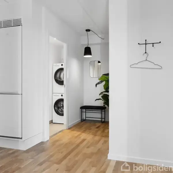 Et moderne interiør med hvid væg og trægulv. Der er en vaskemaskine og tørretumbler i en niche. En sort lampe og plante dekorerer rummet. En bøjlestang hænger på væggen.