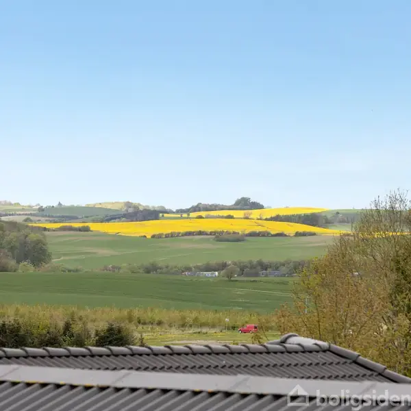 Et tag ses i forgrunden, omgivet af frodige marker og gulblomstrende raps. Landskabet præges af rullende bakker under en klar blå himmel.