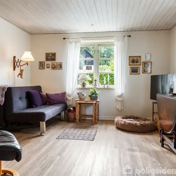 Stue med sofa, lænestol og fladskærms-TV. Vindue med hvidt gardin lader lys ind. Væggene er dekoreret med billeder, og der står planter på et lille bord.
