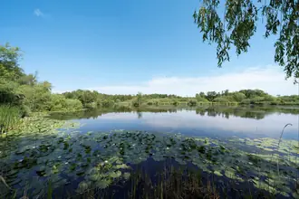 Landejendom på Vesterskovvej 13, 5550 Langeskov