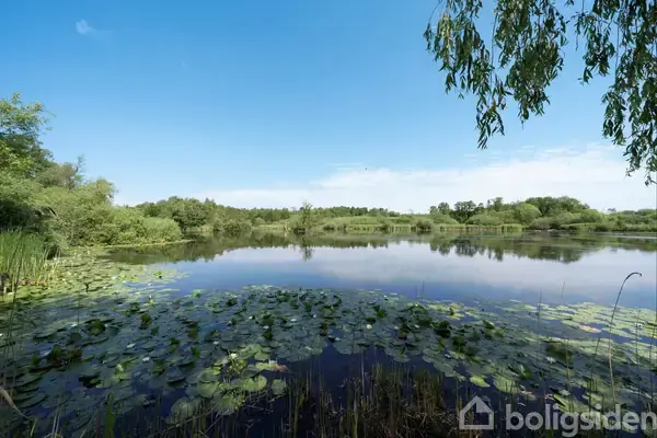 Landejendom på Vesterskovvej 13, 5550 Langeskov