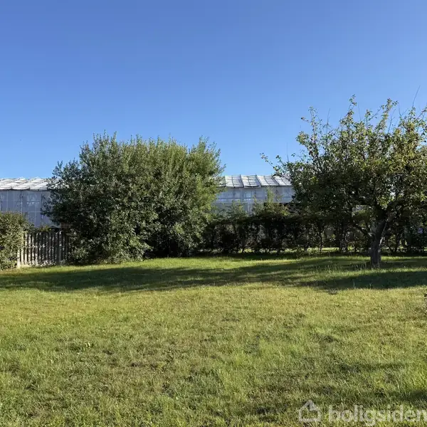 En græsplæne strækker sig foran en række buske og træer i en have, under en klar blå himmel. Bagved ses et drivhus omgivet af frodig vegetation.