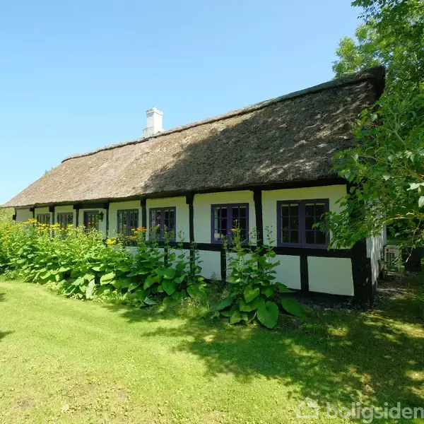 Stråtækt bindingsværkshus med hvide vægge og sorte bjælker, står omkranset af grønne buske og træer i en have under en klar blå himmel.