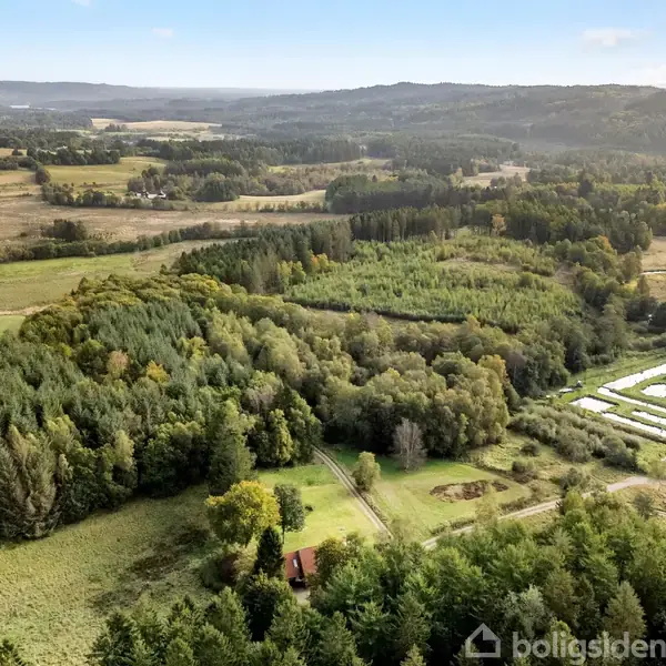 Luftfoto viser en skovklædt bakke i et landligt landskab. I forgrunden ligger der et lille hus omgivet af træer og marker. I baggrunden ses bjerge i horisonten.