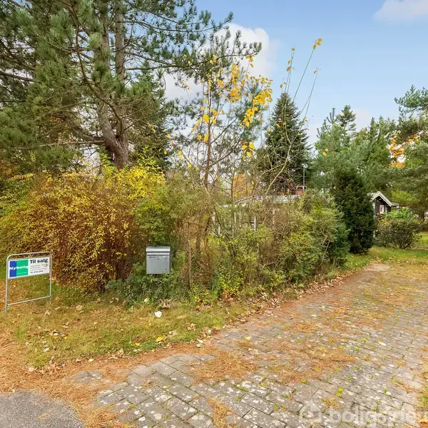 Grusvej fører ind til en have omgivet af tætte buske og træer. Et skilt ved vejen viser "Til salg" fra EDC. Stedet er fyldt med efterårsblade.