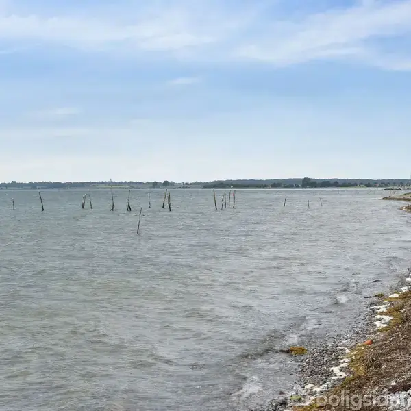 Kystlinje med små bølger, grusstrand til højre, pæle stikker op af vandet, og i baggrunden ses en skovbevokset horisont under en klar, blå himmel.
