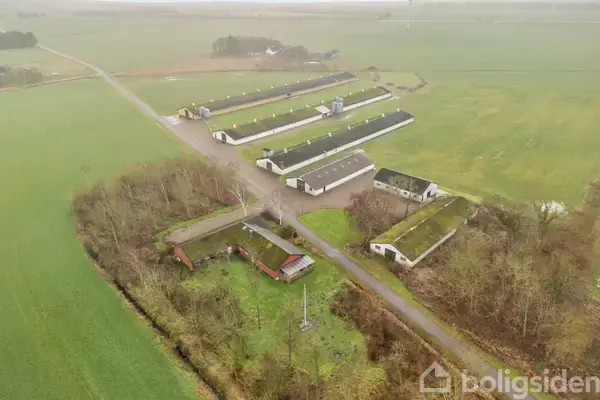 Planteavlsgård/-jord på Gøttruphavevej 80, 9690 Fjerritslev