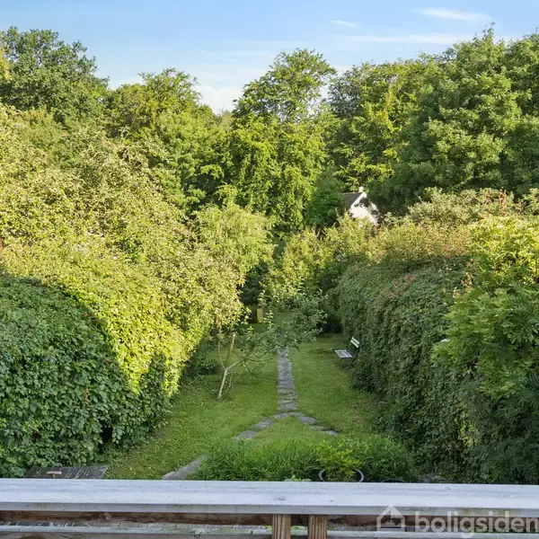 Træterrasse med udsigt over frodig have og mange buske og træer. En smal sti leder gennem haven, der er omgivet af tæt vegetation under en klar, blå himmel.