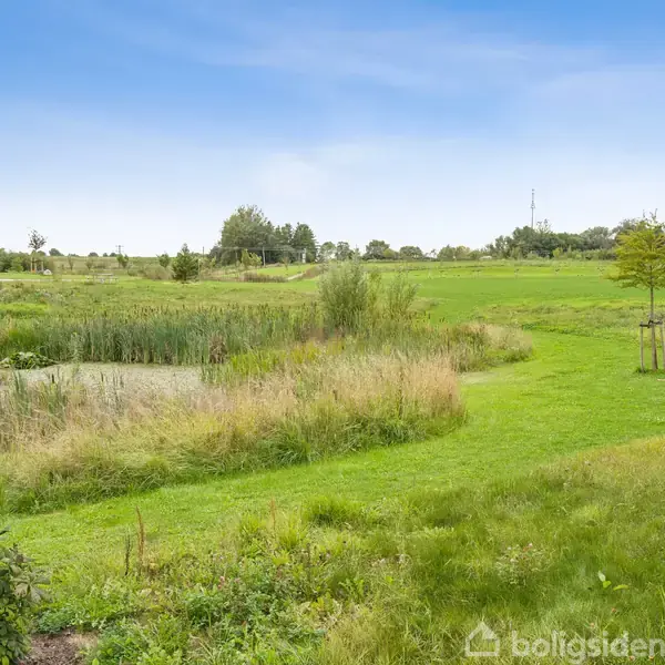 Grønt landskab domineret af græs og buske, en bæk snor sig gennem området, omgivet af træer og en bænk står ved siden af en ung træplante under en blå himmel.