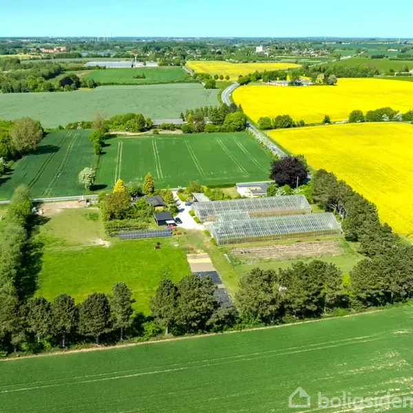 Landområde med drivhuse omgivet af marker i forskellige farver. En snoet vej løber gennem det landlige landskab med træer og marker i forgrunden og baggrunden.