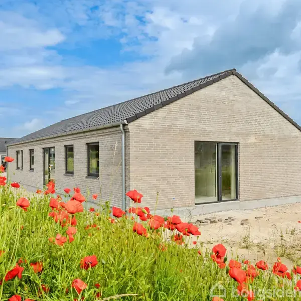 Et moderne, en-etagers hus står stille omgivet af en sandet have med spredte valmuer. Lysegrå mursten og en mørk tagkonstruktion kontrasterer den klare himmel.