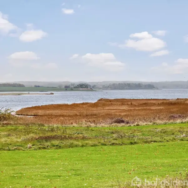 Grønt græs breder sig ud mod en rolig sø omgivet af siv og marker i baggrunden under en blå himmel med hvide skyer.