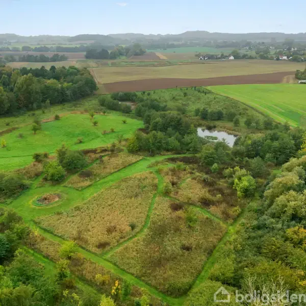 Grønt landskab med en lille dam omgivet af træer og marker. Langstrakte, bølgende bakker ses i baggrunden under en klar blå himmel.