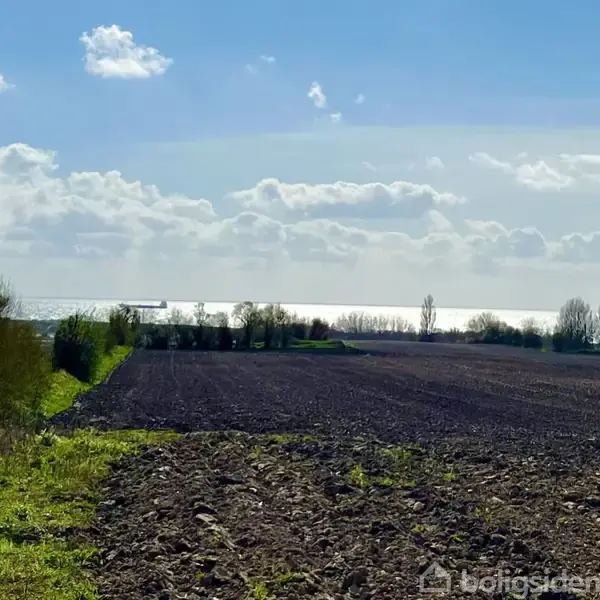 En pløjet mark strækker sig mod en glitrende sø i baggrunden, omgivet af træer og en blå himmel med skyer.
