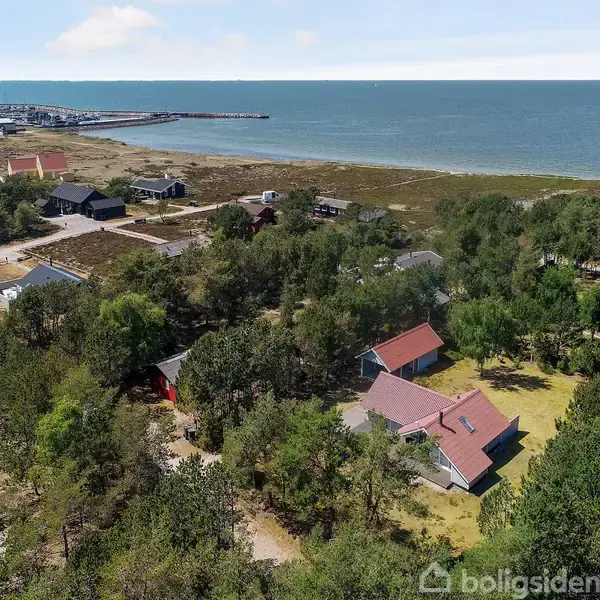 Huse med røde tage spredt blandt træer langs en kyst. I baggrunden ses havet og en mole. Stemningen er rolig og naturlig.